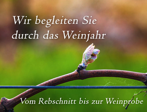 Weinreportagen Weinreportagen von bildermobil.org