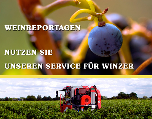 Winzerservice Service für Weinbaubetriebe